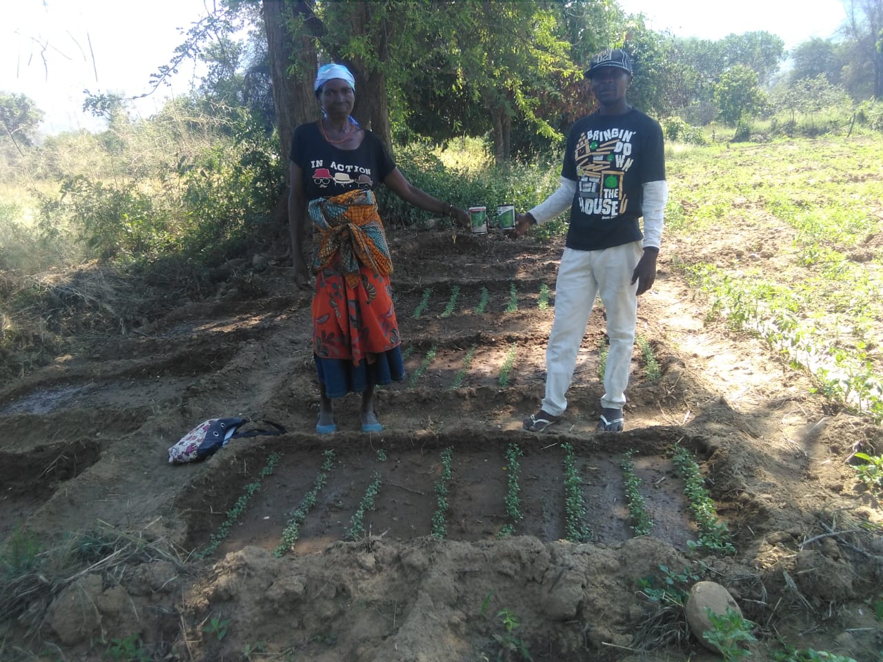 Mangueiras Field School Nursery With Kale.