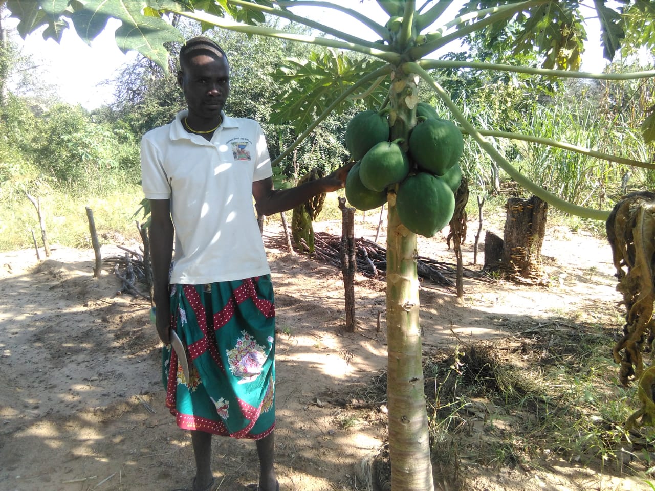 President Of the Kamupapa Field School Pleased With The Papaya Production And Production In General