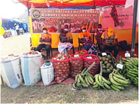 Clube de Mulheres Agricultoras Cuanza Sul participou na Feira de Produtos de Mulheres Empresárias.