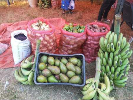 Uma seleção de produtos dos campos dos agricultores do Clube de Agricultores Cuanza Sul.