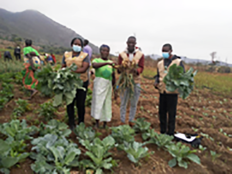 Os agricultores estão a produzir para consumo e para venda.