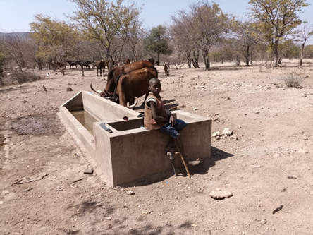 Água separada para o gado ajuda a prevenir doenças