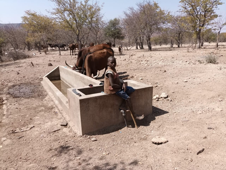 Separate water for cattle helps prevent disease