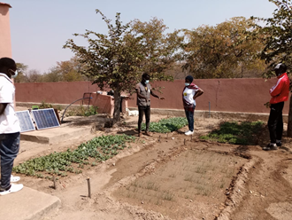 Water is pumped using solar energy