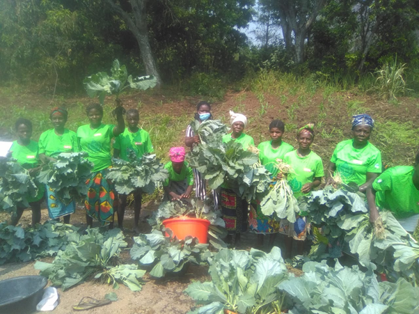 Membros dos Clubes de Mulheres Agricultoras no Cuanza Sul com seus produtos agrícolas.