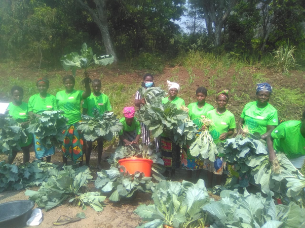 Members of Women Farmers Clubs in Cuanza Sul with their agricultural products.