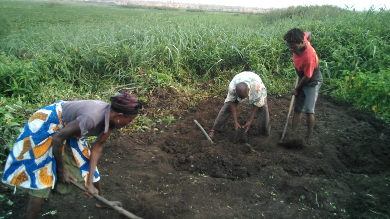 In Luanda, project participants are preparing ground to start horticulture, to improve their diets and create surplus for sale