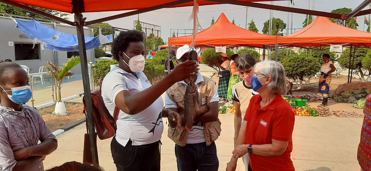 O projeto AFAP Malanje recebeu a visita da PCA da ADPP Angola. Fizeram uma visita guiada pela directora Municipal da Agricultura e Pescas de Malanje