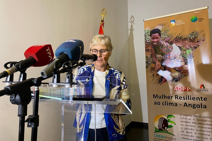 signal 2026 01 28 082425