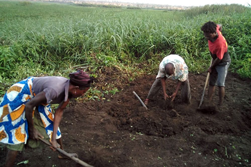 Preparing ground for horticulture 500x333