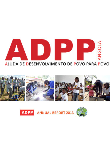Annual Report 2013