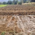 Escola de Campo de Mangueiras está expandindo a produção com camas prontas para tomate, couve e couve