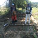 Mangueiras Field School Nursery With Kale.