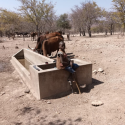 Separate water for cattle helps prevent disease