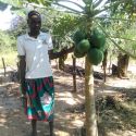 President Of the Kamupapa Field School Pleased With The Papaya Production And Production In General