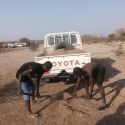 Fine gravel being collected in the municipality of Cahama for the construction of concrete tank covers