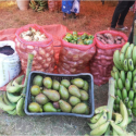 A selection of the produce from Women Farmers Club Cuanza Sul farmers’ fields.